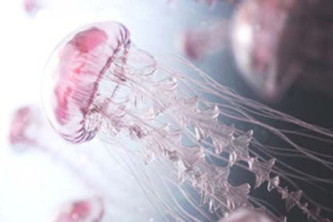 http://quanzhou.qqkaixin.com/post/193.html|泉州供卵助孕