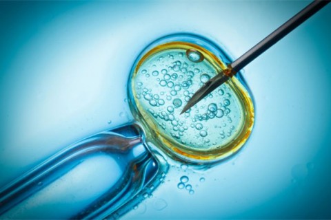 http://quanzhou.qqkaixin.com/post/199.html|泉州供卵助孕